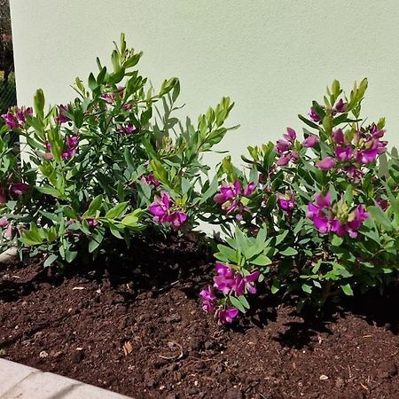 דירות טודי Casa Myrtifolia מראה חיצוני תמונה